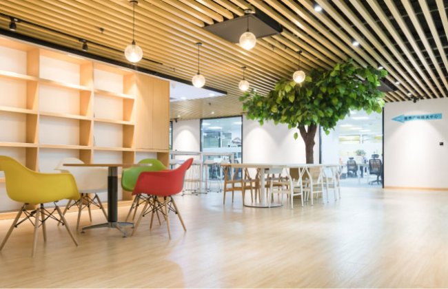 工作环境及氛围