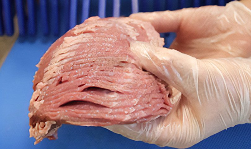 切片： 自动、半自动垂直及水平切片机