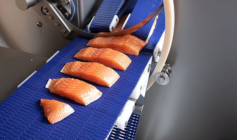 鱼类 - 等重切割机