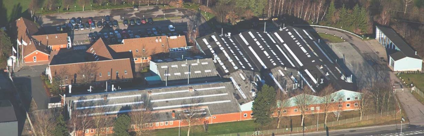 鲁和hplus_斯堪 - 公司介绍