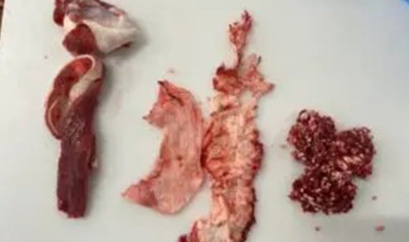 肉类加工